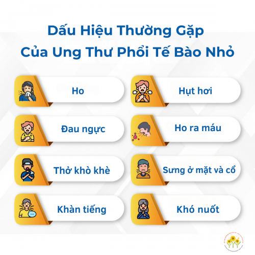 8 dấu hiệu thường gặp của Ung thư phổi tế bào nhỏ