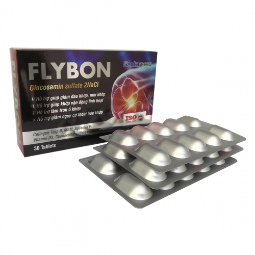 FLYBON - Hỗ trợ xương khớp